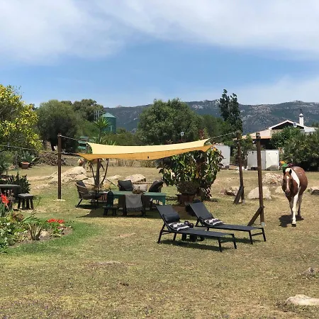 Eco Spirit Luxury tent