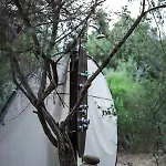 Eco Spirit