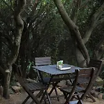 Luxe tent Eco Spirit