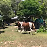 Eco Spirit