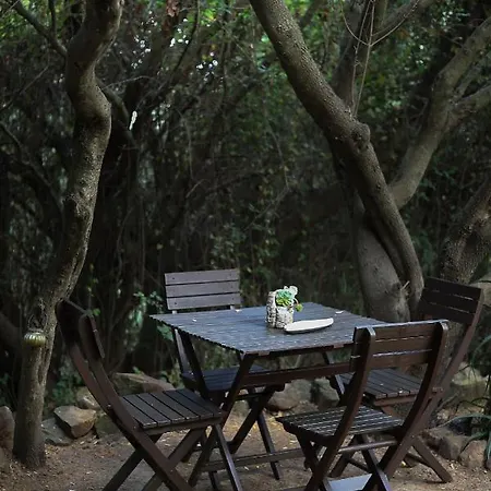 Роскошный шатер Eco Spirit