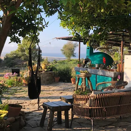 Eco Spirit خيمة فخمة *
